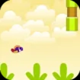 Birdy Bird Floppy