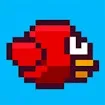 Chubby Birds