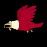 Eagle Shooting