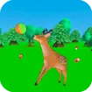 Feed the Deer