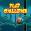 Flap Challenge