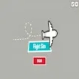 Flight Sim Pro