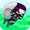 Flying Ninja