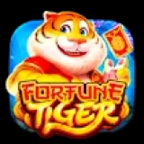 Lucky Tiger