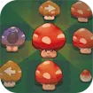 Mushroom Pop