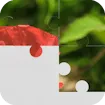 TenPuzzle